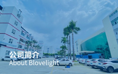 廣東藍光智能科技有限公司簡介